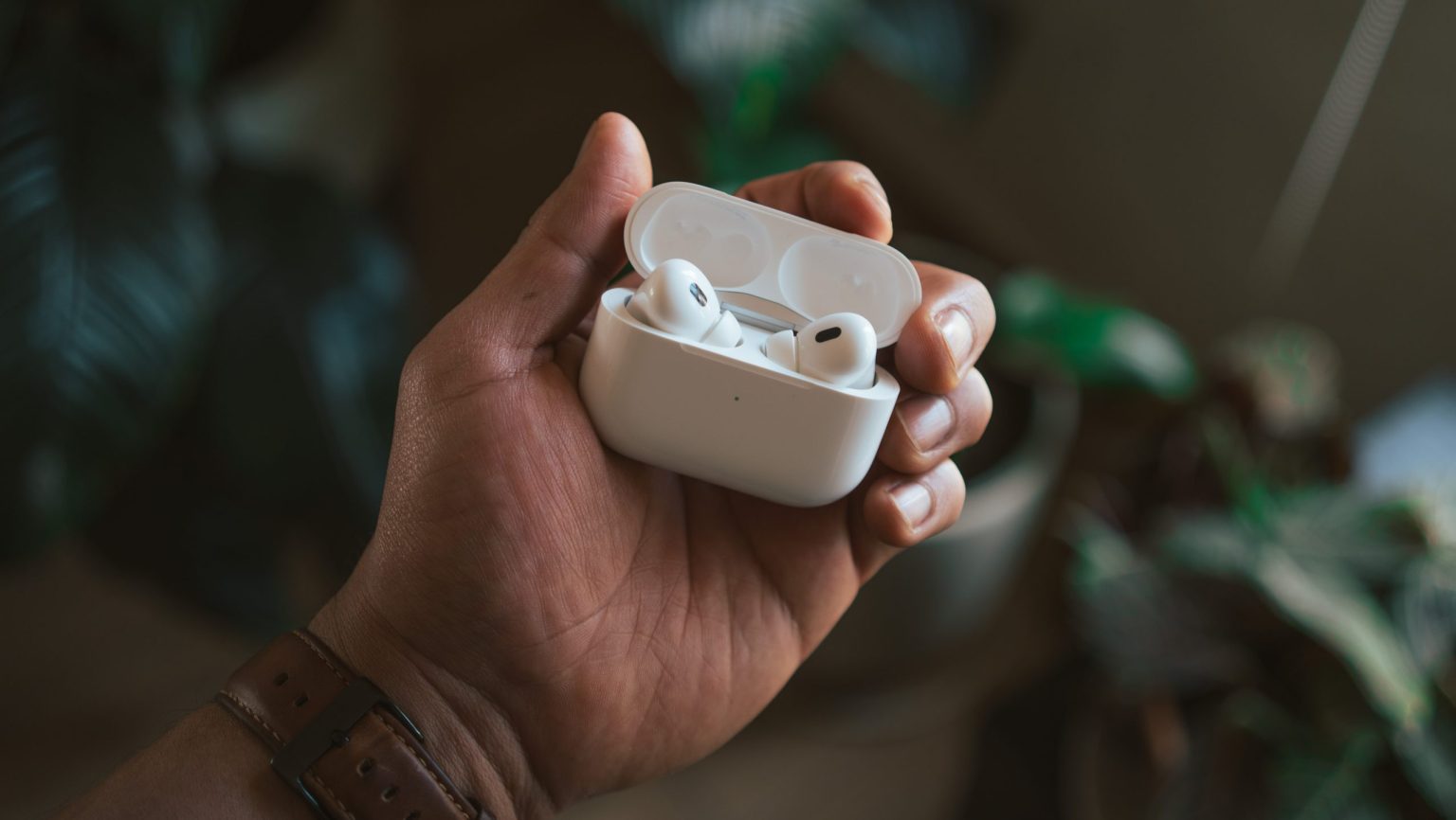 Close-up of a person holding an open case of Apple AirPods Pro 2, with a blurred background of indoor plants